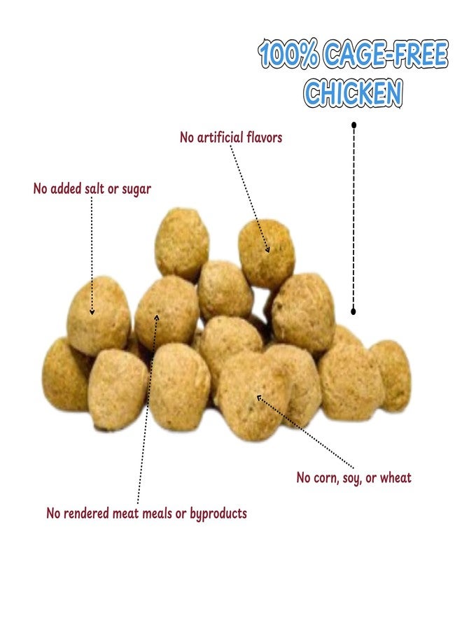 Snarky Pets Tank’s Freeze Dried Chicken Meatballs – Cage-Free Chicken, Single-Source Protein, Grain-Free, No Preservatives or Byproducts – Natural Dog Treats for All Breeds – 4 oz Pouch - Image 5