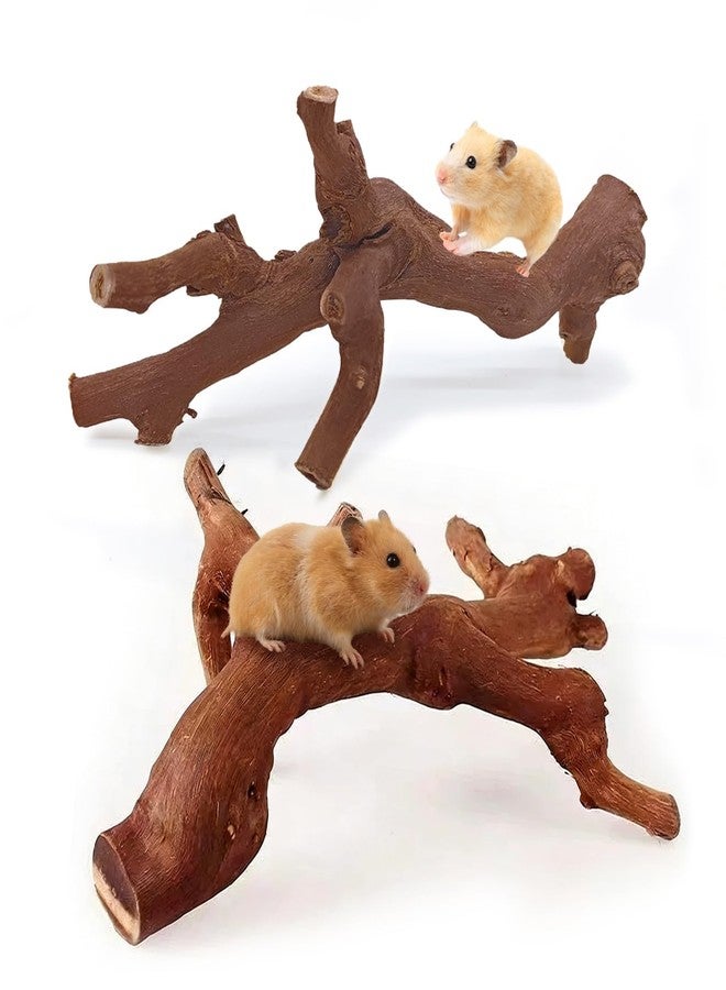 kathson 2Pcs Wood Hamster Climbing Branches Decor, Natural Wooden Syrian Hamster Climb Chewing Toys, Rat Exercise Toys, Small Animal Habitat Decor Accessories for Dwarf Pets, Mice, Gerbils - Image 1