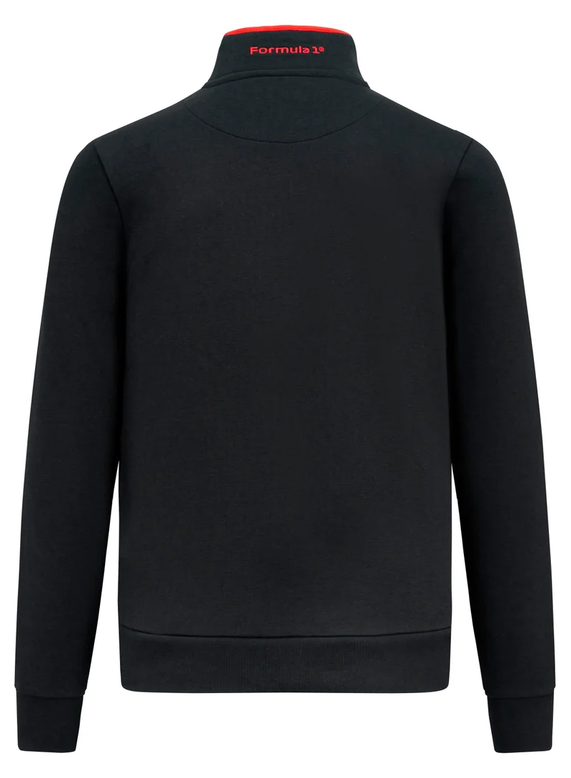 Formula1  Formula 1 Quarter Zip Sweatshirt for Men | Best Price UAE