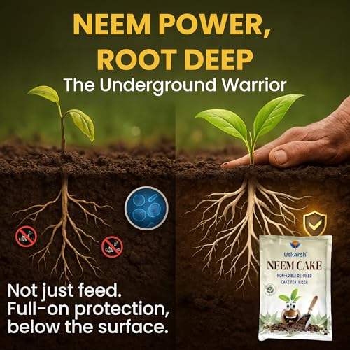 Utkarsh Neem Cake Powder for Plants, Organic Neem Khali Fertilizer for Home Garden, Manure for Flowers, Vegetables & Lawn, Pest Repellent (5 Kg; Pack of 1) - Image 2