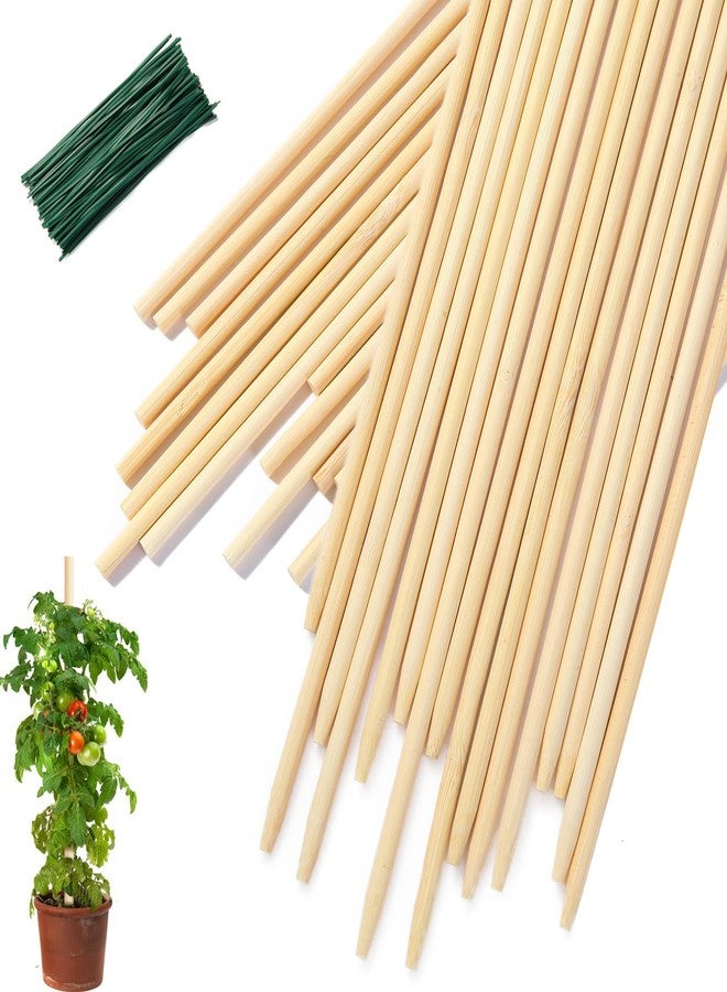 CJFocus 40 PCS Bamboo Plant Stakes 18 Inch, Wood Plant Support for Gardening for Potted Floral Plant, Indoor Wooden Sign Posting Garden Stick, Crafts Sticks with 40 PCS Wires(4") - Image 1