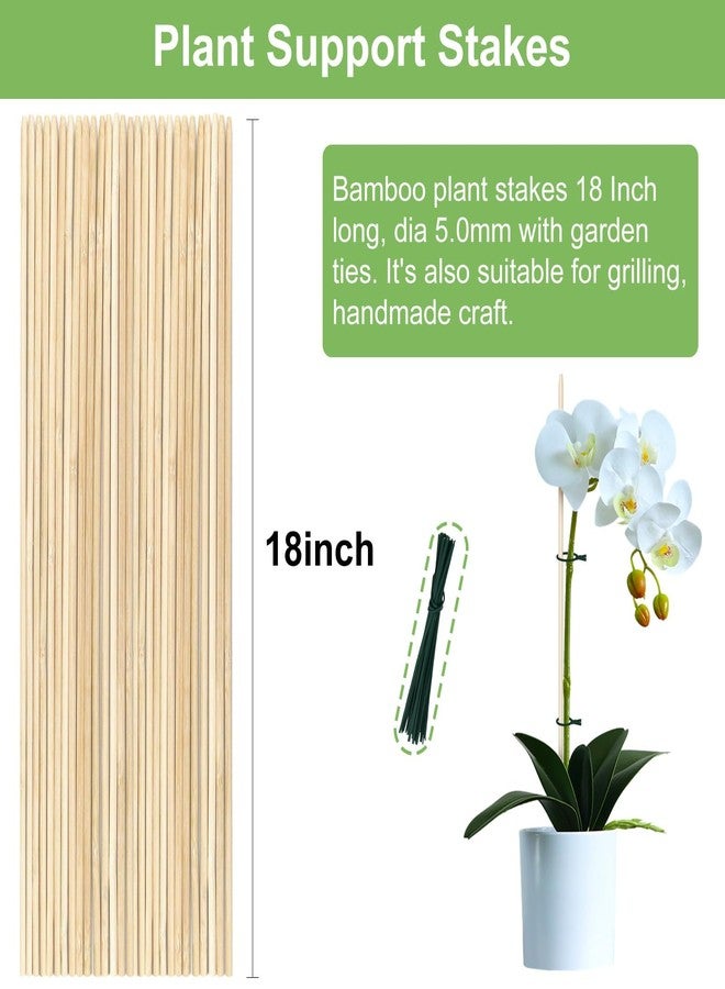 CJFocus 40 PCS Bamboo Plant Stakes 18 Inch, Wood Plant Support for Gardening for Potted Floral Plant, Indoor Wooden Sign Posting Garden Stick, Crafts Sticks with 40 PCS Wires(4") - Image 5