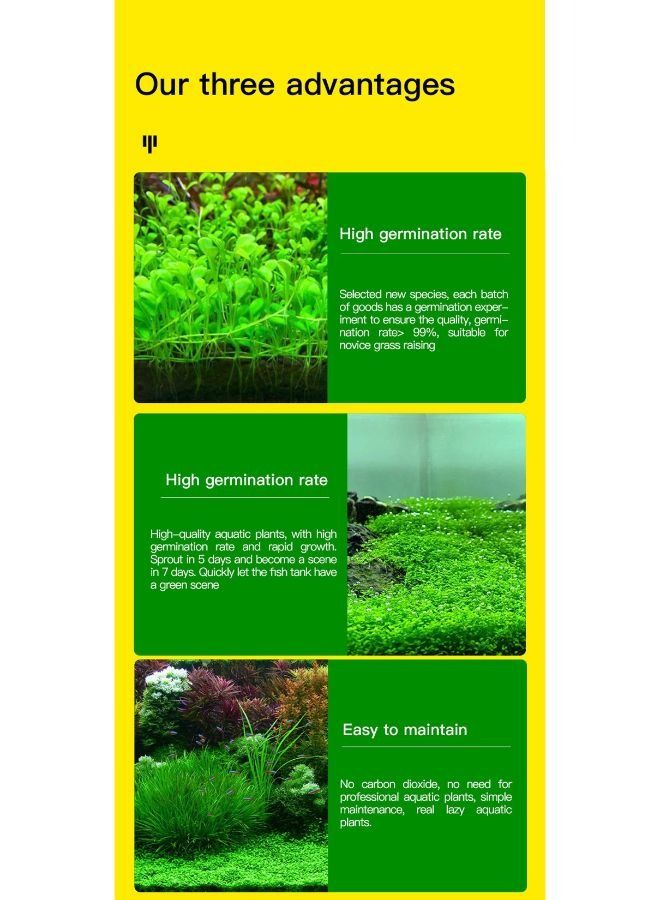 Aquarium Soil - Image 4