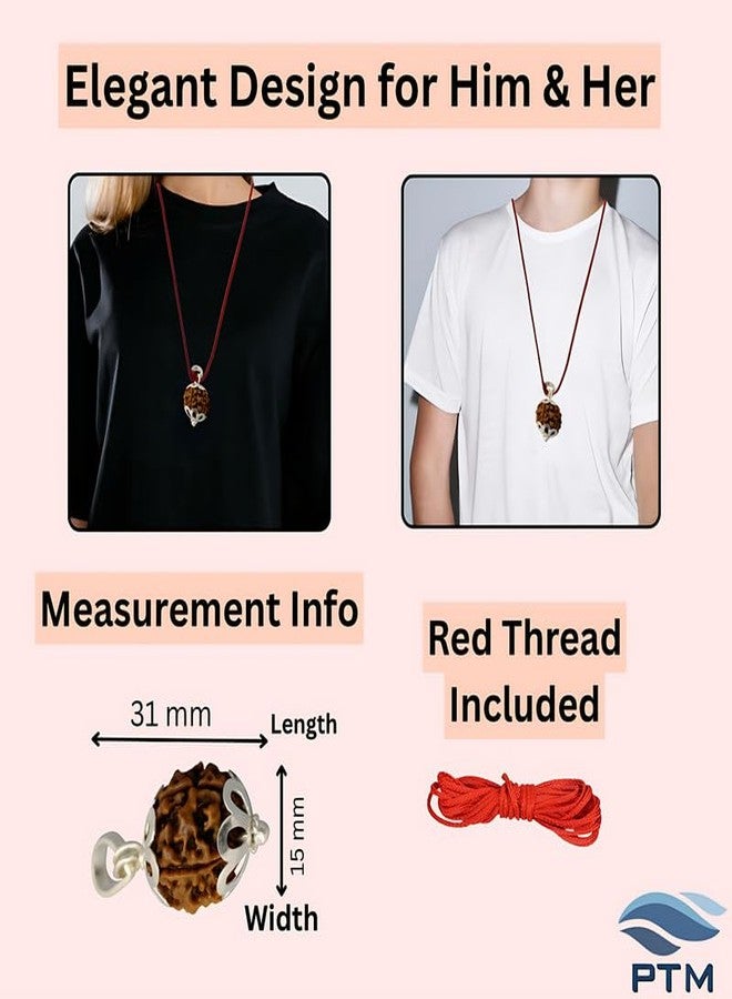 PTM 3 Mukhi Rudraksha Pendant | Teen Mukhi/Three Face Original Nepali Bead 925 BIS Hallmark Sterling Silver Cap Pendant | Certified Natural Rudraksha for Men & Women - Image 5