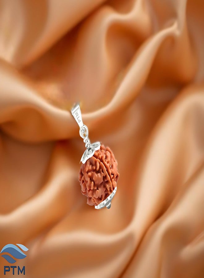PTM 3 Mukhi Rudraksha Pendant | Teen Mukhi/Three Face Original Nepali Bead 925 BIS Hallmark Sterling Silver Cap Pendant | Certified Natural Rudraksha for Men & Women - Image 2