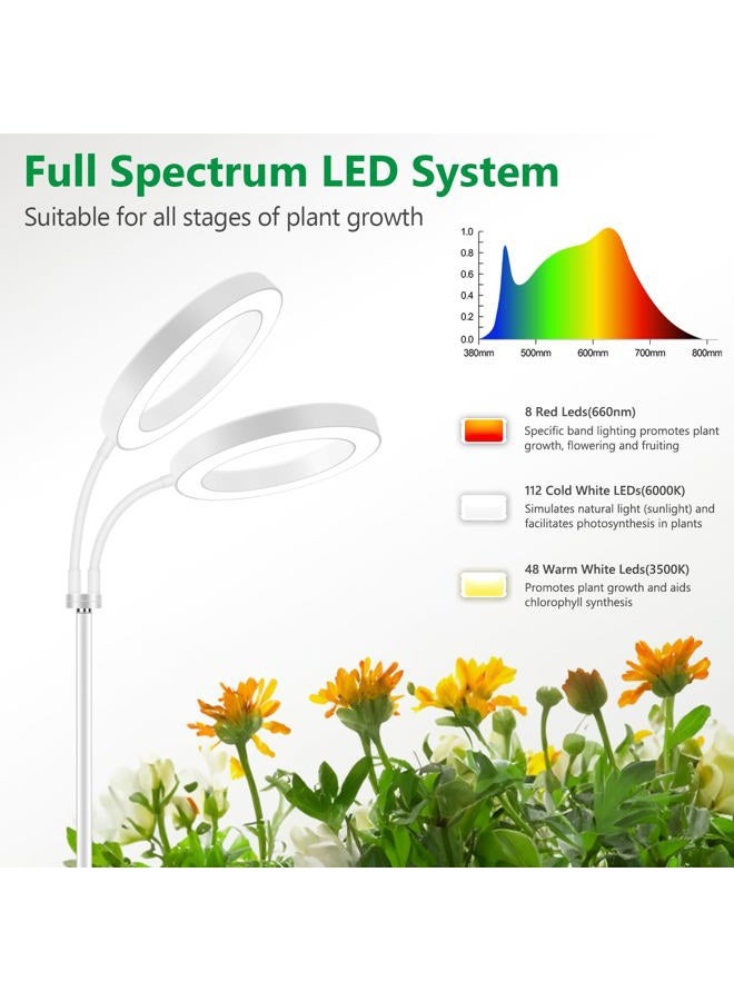 Aumtrly Large Plant Light for Indoor Plants, 2 Heads Full Spectrum Grow Light with 68" Adjustable Stand for Growing Large Tall Plants, Plant Lamp - Image 3