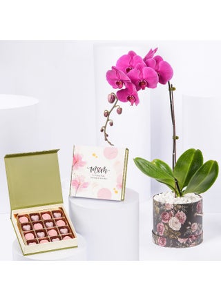 Orchid Plant And Chocolates - pzsku/Z235919C5AC7A2618E32EZ/45/_/1725455785/3b23ec6a-c7f6-4c8a-96ca-5b50e0294bf8