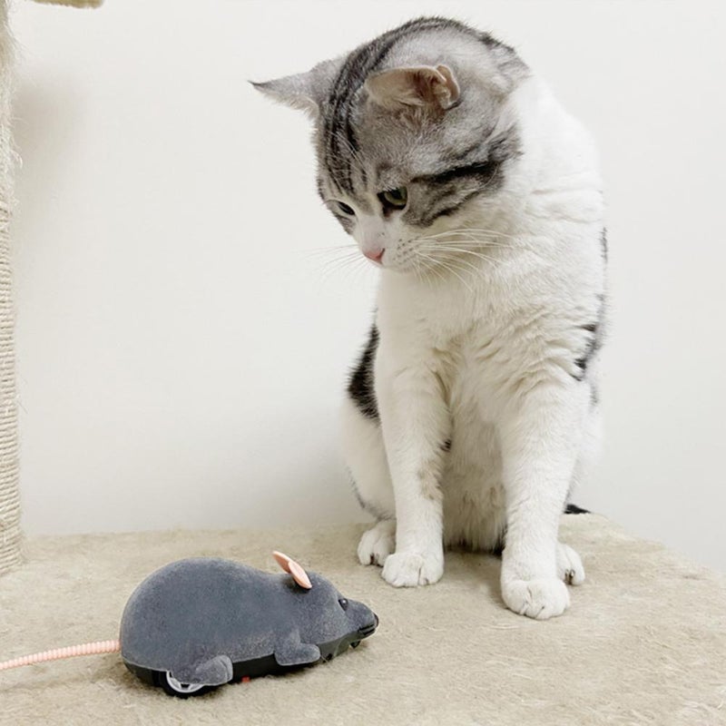 Popular export pet toy, cat teaser, remote control, simulated animal, flocked mouse, prank toy. - Image 4