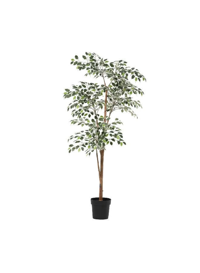 serene Beautiful Life-Like Artificial Ficus Tree Green and Brown 190 x 22 x 22 cm 90371