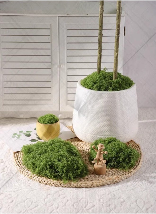 Generic 100g nylon moss grass perfect simulation artificial moss fake green grass as centerpiece home kitchen garden landscape layout green plant bonsai potted decorative moss  - Image 3