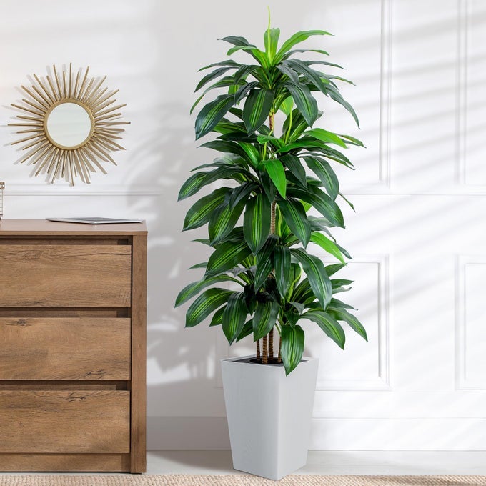Artificial Dracaena Tree with White Tall Planter 5ft Tall Potted Artificial Dracaena Silk Plant Fake Yucca Tree Plant Home Office Floor Room Decor Plants Indoor Outdoor Housewarming Gift
