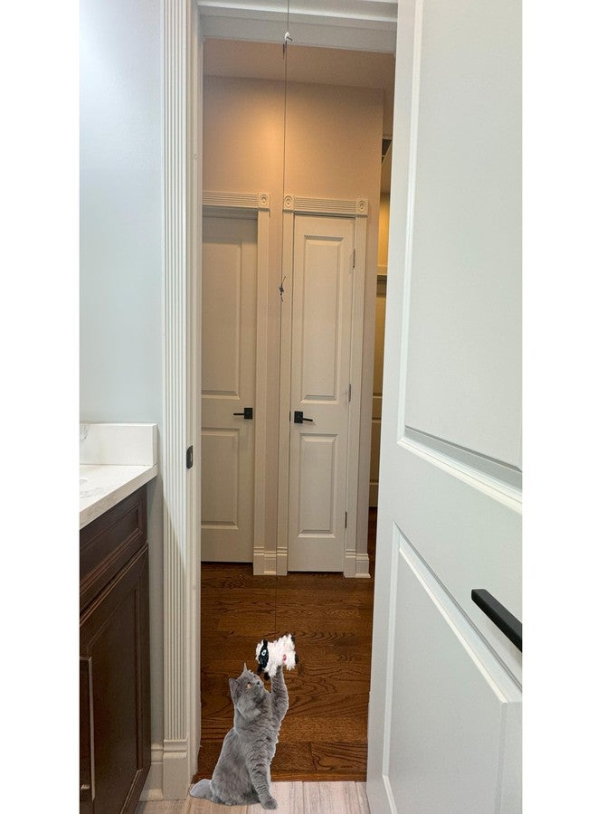 سبوت لعبة SPOT A-Door-Able Baa Baa Sheep للقطط - خروف معلق مع مزيج من النعناع البري/الفطر الفضي، مصنوع من الصوف الناعم، يُعلق على أي إطار باب، يُحفز غريزة الصيد الطبيعية لدى القطط لساعات من اللعب - Image 4