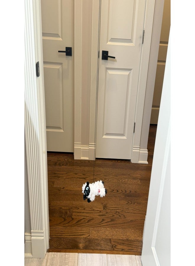 سبوت لعبة SPOT A-Door-Able Baa Baa Sheep للقطط - خروف معلق مع مزيج من النعناع البري/الفطر الفضي، مصنوع من الصوف الناعم، يُعلق على أي إطار باب، يُحفز غريزة الصيد الطبيعية لدى القطط لساعات من اللعب - Image 5