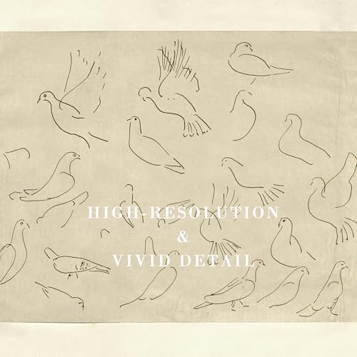 Kizbok Neutral Wall Art Decor Vintage Flying Birds Sketch Canvas Prints Antique Animals Drawing Oil Painting, Rustic Neutral Art Pictures for Bedroom, Farmhouse Wall Decor for Bathroom Home(8" x 10"-UNFRAMED) - Image 2