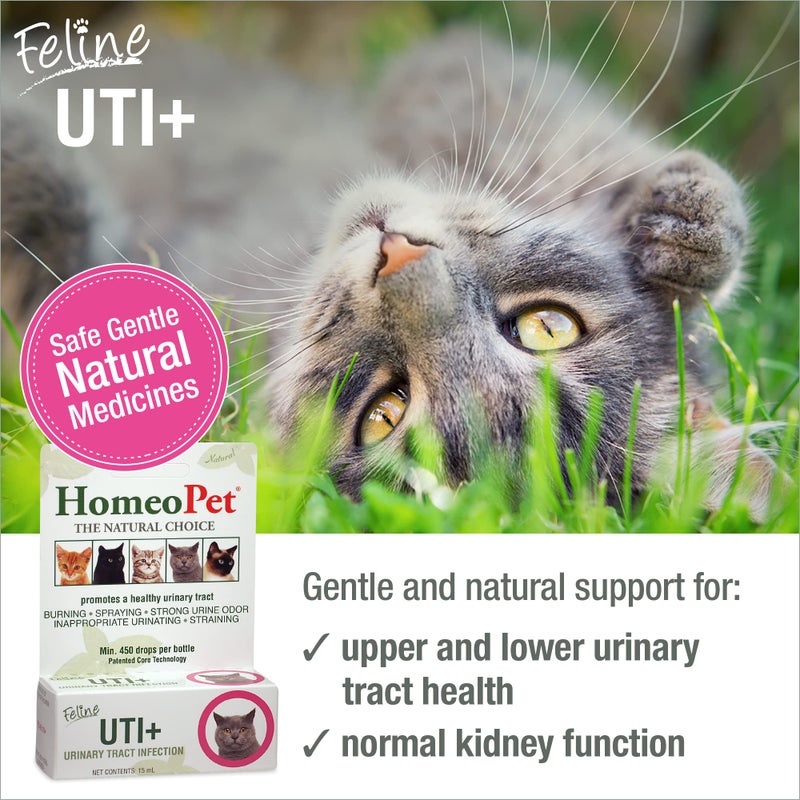 HomeoPet Feline UTI Plus, Safe and Natural Urinary Tract Supplement for Cats, Feline Urinary Tract Support, 15 Milliliters - Image 2