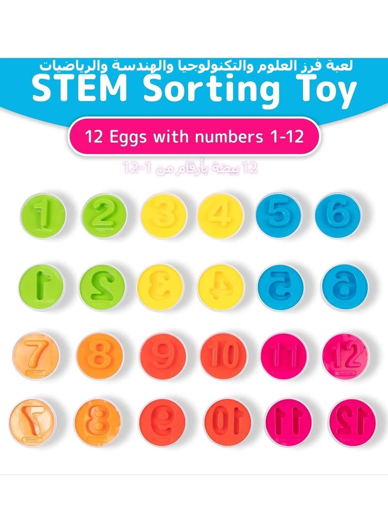 Mr. Penda Chicken Toy Set Matching Eggs, Egg Toys Sorter with 12 Eggs, Sensory Learning Fine Motor Skills Toys, Educational Montessori Toys for 3+ Years Old Babies (Numbers, Random Color)  - Image 3