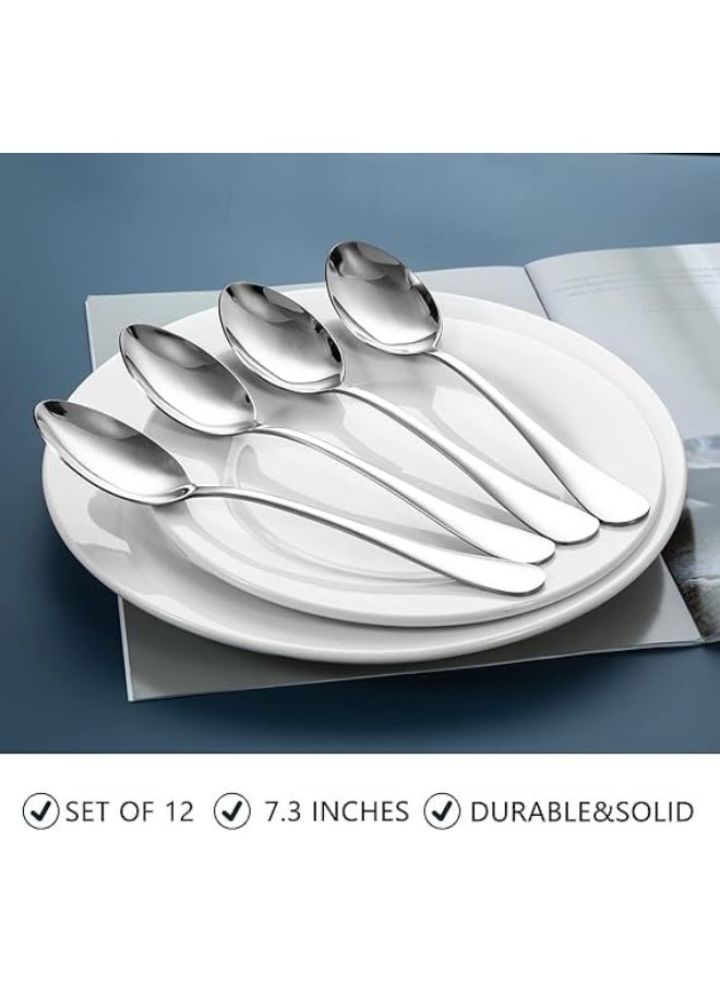 Prabha Stainless Steel Royal Baby Spoon Set of 12 Pcs (Silver), Best for Home & Kitchen, Including 12 Baby Spoon | Spoon Set | Steel Spoons | Spoons Set Combo | chamach| Dishwasher Safe - Image 3