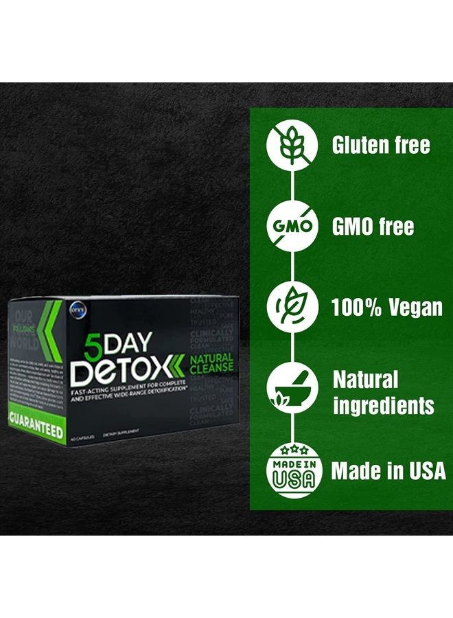 wellgenix تنظيف دائم لمدة 5 أيام أومني - تنظيف كامل للجسم بشكل طبيعي | تخلص من السموم - تنقية مع الهندباء، الهندباء الحمراء، زهور البرسيم الأحمر، البرسيم، الصفصاف الانزلاقي - 40 كبسولة - Image 4