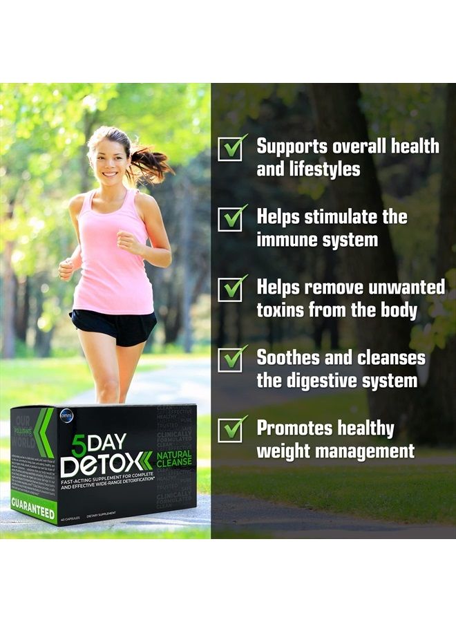 wellgenix تنظيف دائم لمدة 5 أيام أومني - تنظيف كامل للجسم بشكل طبيعي | تخلص من السموم - تنقية مع الهندباء، الهندباء الحمراء، زهور البرسيم الأحمر، البرسيم، الصفصاف الانزلاقي - 40 كبسولة - Image 2