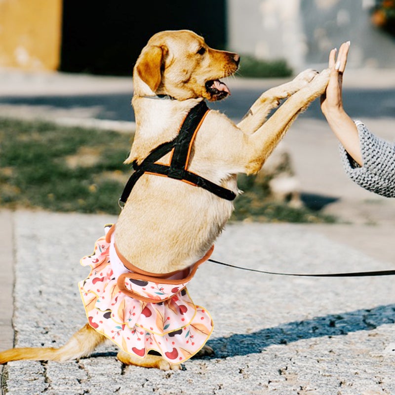 Female Dog Dress Washable Female Period Pant Absorbent Doggy Diaper for Dog in Period - Image 5