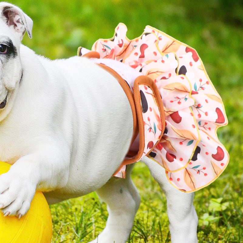 Female Dog Dress Washable Female Period Pant Absorbent Doggy Diaper for Dog in Period - Image 4
