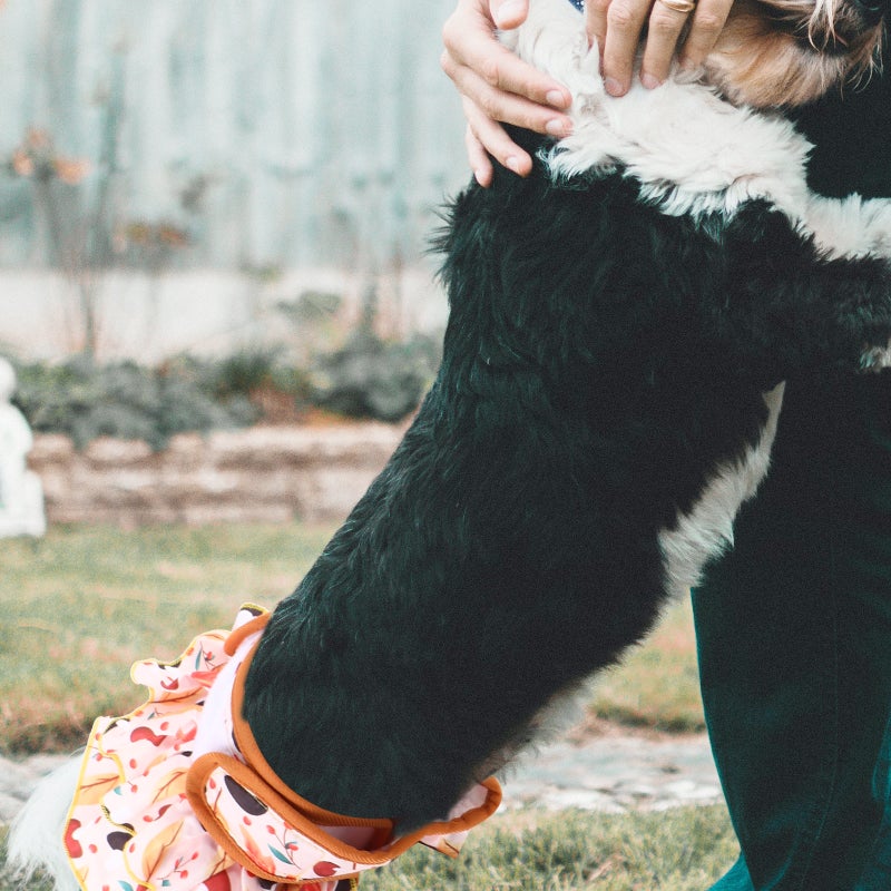 Female Dog Dress Washable Female Period Pant Absorbent Doggy Diaper for Dog in Period - Image 3