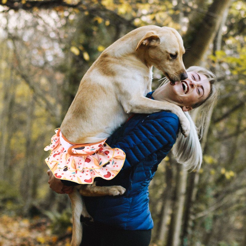 Female Dog Dress Washable Female Period Pant Absorbent Doggy Diaper for Dog in Period - Image 2
