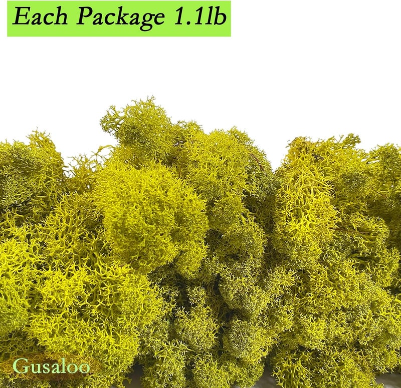 Gusaloo Preserved 1.1lb Moss Artificial Moss Natural Fresh Green Moss for Craft Handicraft Arts Floral Project Wall Decor Table Decor Wedding Centerpieces Garden Terrariums Decoration - Image 5