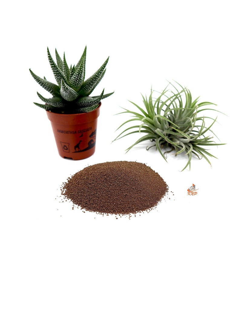 KNP Disper CaB Best for Boron & Calcium Deficiencies 250 grams - Image 1