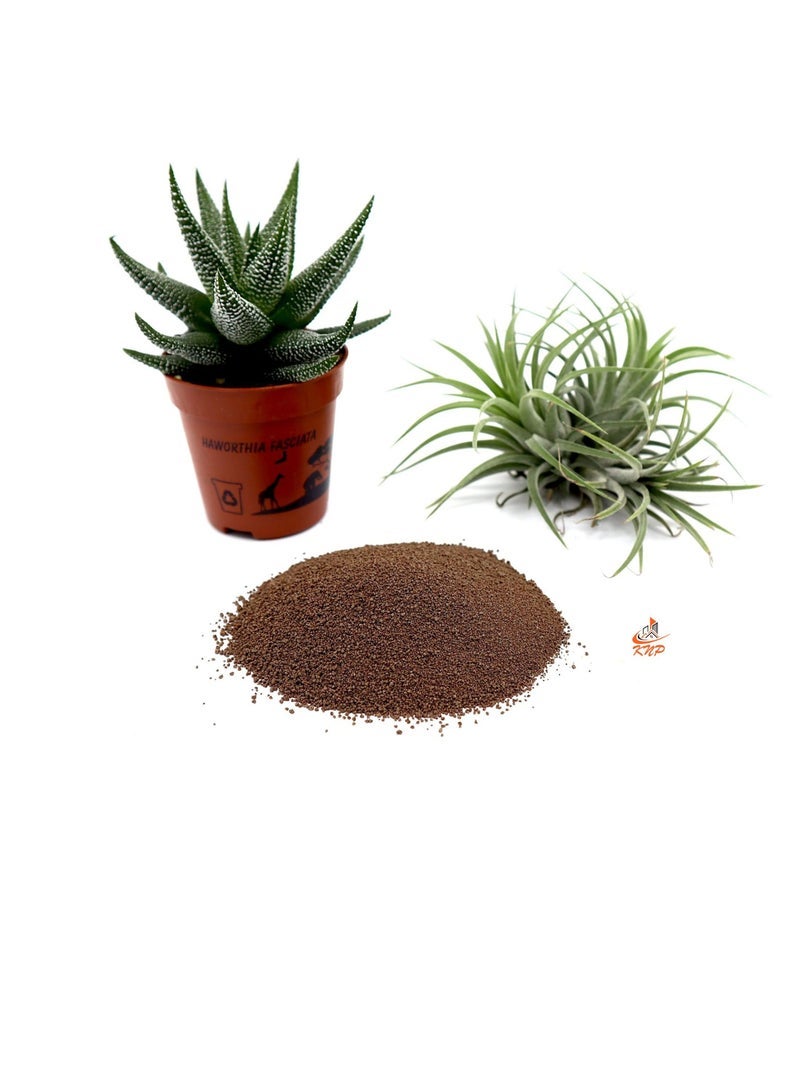 KNP Disper CaB Best for Boron & Calcium Deficiencies 250 grams - Image 3