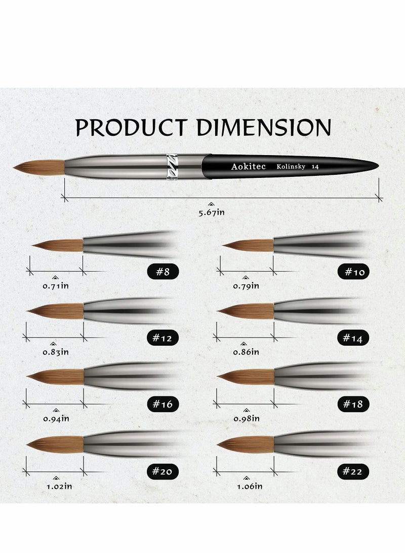 Acrylic Nail Brush, Oval Crimped Sable Brush, Wood Nail Art Brush for Acrylic Application Manicure Tool (Black) - Image 2