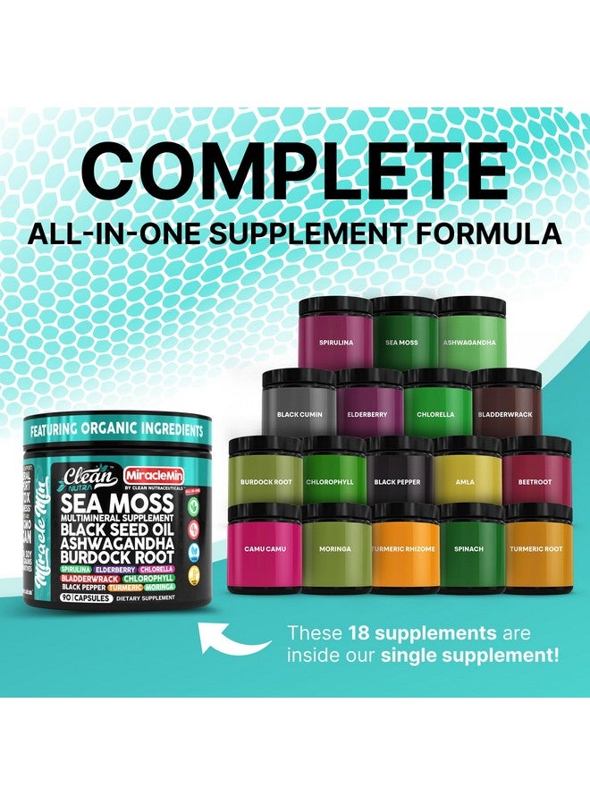 Clean Nutraceuticals Clean Nutra Sea Moss Capsules with Ashwagandha, Black Seed Oil, Burdock Root, Bladderwrack, Moringa, Chlorella, Spirulina, Turmeric, Elderberry, Amla - 90 Vegan Capsules - MiracleMin - Image 2