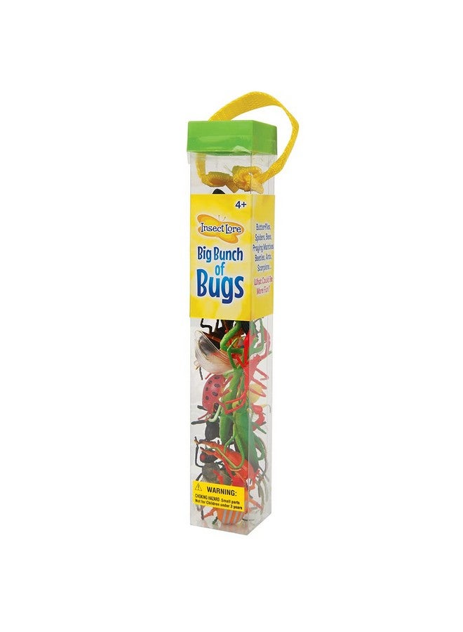Insect Lore Plastic Bug Toys - 18 Colorful Giant Insect Figures - By Insect Lore - Image 2