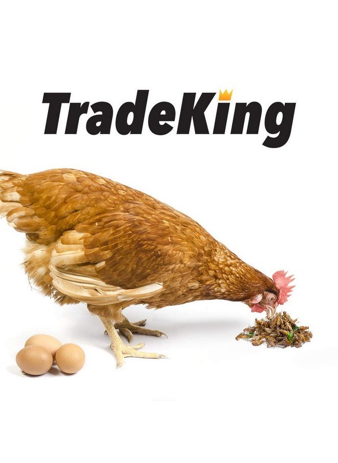 TradeKing - TradeKing Natural Dried Crickets, Food for Bearded Dragons, Wild Birds, Chicken, Fish, & Reptiles (8 oz Resealable Bag) Veterinary Certified - Image 1