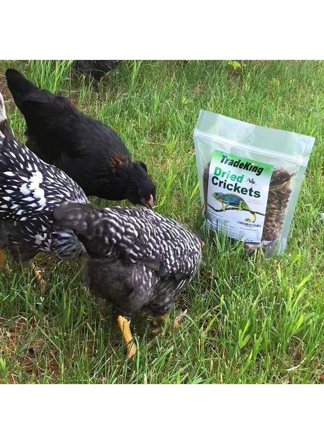 TradeKing - TradeKing Natural Dried Crickets, Food for Bearded Dragons, Wild Birds, Chicken, Fish, & Reptiles (8 oz Resealable Bag) Veterinary Certified - Image 1