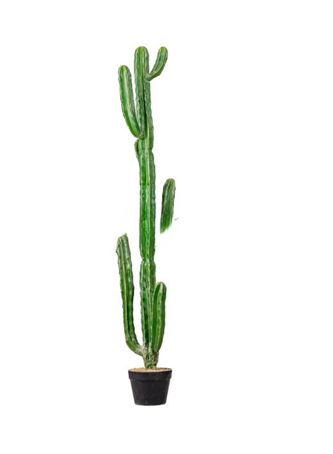 HRT WALL Cactus Cereus Jamakaru 147cm - Dark green 