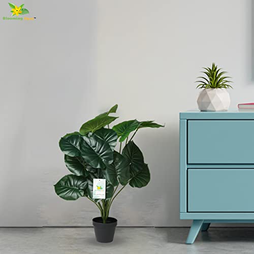 Blooming Floret Artificial Philodendron Plant with Basic Black Pot | 18 Green Leaves | Big Ornamental Plant for Interior Decor/Home Decor/Office Decor | 63.5 cm Tall Tropical Plant - Image 5