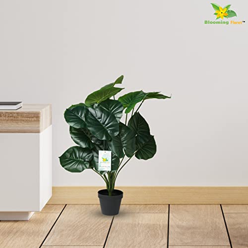 Blooming Floret Artificial Philodendron Plant with Basic Black Pot | 18 Green Leaves | Big Ornamental Plant for Interior Decor/Home Decor/Office Decor | 63.5 cm Tall Tropical Plant - Image 4