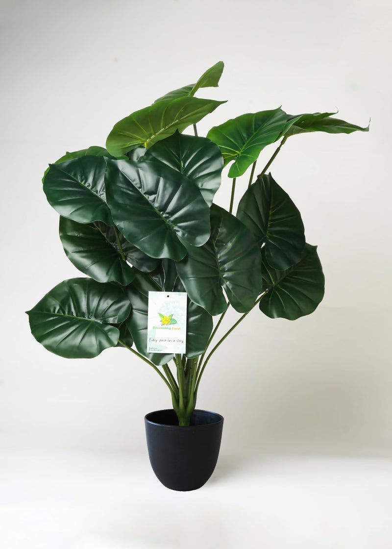 Blooming Floret Artificial Philodendron Plant with Basic Black Pot | 18 Green Leaves | Big Ornamental Plant for Interior Decor/Home Decor/Office Decor | 63.5 cm Tall Tropical Plant - Image 1