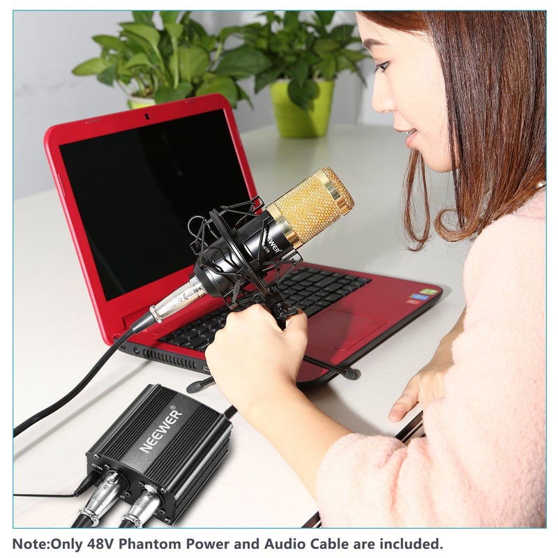 Neewer 1-Channel 48V Phantom Power Supply with Adapter, BONUS+XLR 3 Pin Microphone Cable for Any Condenser Microphone Music Recording Equipment (8 feet) - Image 2