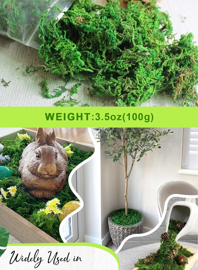 هومار كيت طحلب طبيعي، طحلب صناعي، طحلب اصطناعي، طحلب أخضر لديكور المناظر الطبيعية الصغيرة، نبات أخضر يمكنك صنعه بنفسك لتزيين الحدائق الخارجية (100 جرام) - Image 2