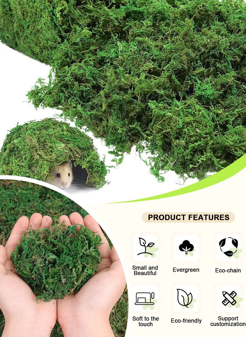 هومار كيت طحلب طبيعي، طحلب صناعي، طحلب اصطناعي، طحلب أخضر لديكور المناظر الطبيعية الصغيرة، نبات أخضر يمكنك صنعه بنفسك لتزيين الحدائق الخارجية (100 جرام) - Image 3