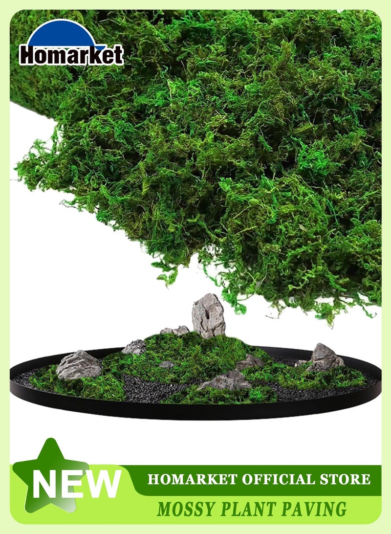 هومار كيت طحلب طبيعي، طحلب صناعي، طحلب اصطناعي، طحلب أخضر لديكور المناظر الطبيعية الصغيرة، نبات أخضر يمكنك صنعه بنفسك لتزيين الحدائق الخارجية (100 جرام) - Image 1