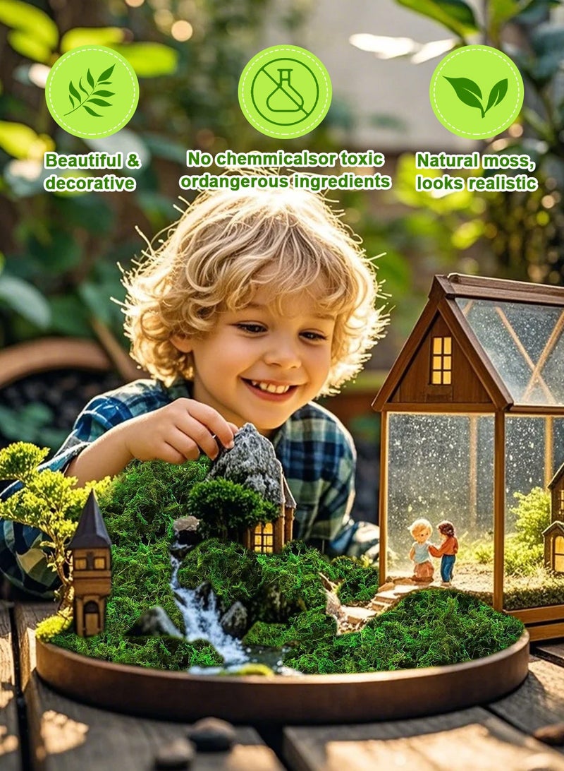 هومار كيت طحلب طبيعي، طحلب صناعي، طحلب اصطناعي، طحلب أخضر لديكور المناظر الطبيعية الصغيرة، نبات أخضر يمكنك صنعه بنفسك لتزيين الحدائق الخارجية (100 جرام) - Image 5