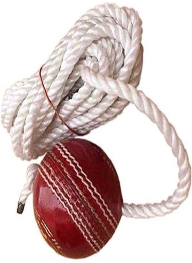 YMD ZXCI- Tough Leather Hanging Ball Red, for Shot Practice, 1 Ball, il72 Cricket Training Ball (Pack of 1) - Image 1