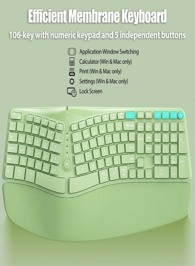 TISHLED Bow Split Ergonomic Keyboard Wireless with Cushioned Wrist & Palm Rest, Wireless 2.4G/Bluetooth/Wired USB-C, Comfortable Natural Typing, Compatible with Windows/Mac/PC/Laptop, Matcha Green - Image 5