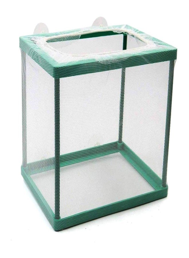 NGe Green Square Aquarium Breeder Box - Fish Isolation Hatchery for Spawning & Hatching - Image 2
