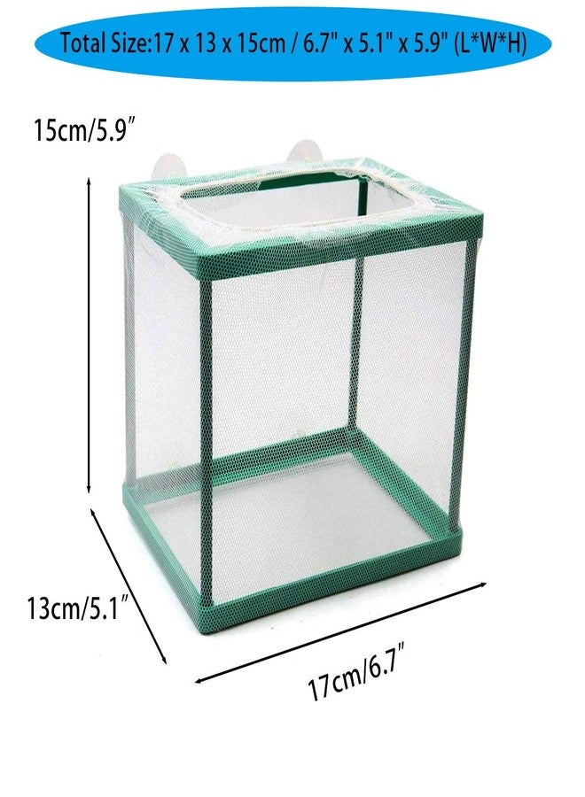 NGe Green Square Aquarium Breeder Box - Fish Isolation Hatchery for Spawning & Hatching - Image 3