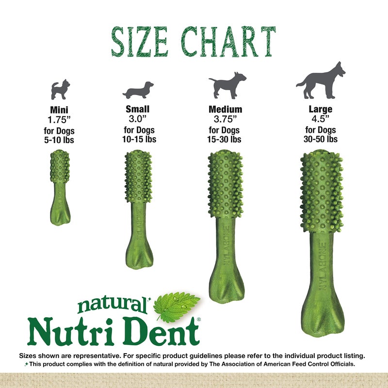 Nylabone Nutri Dent Natural Dental Chews for Dogs, Limited Ingredient Dog Treats Made in the USA, Clean Teeth & Fresh Breath, Healthy Dog Chews, Fresh Breath Flavor, For X-Small Dogs, (78 Count) - Image 3