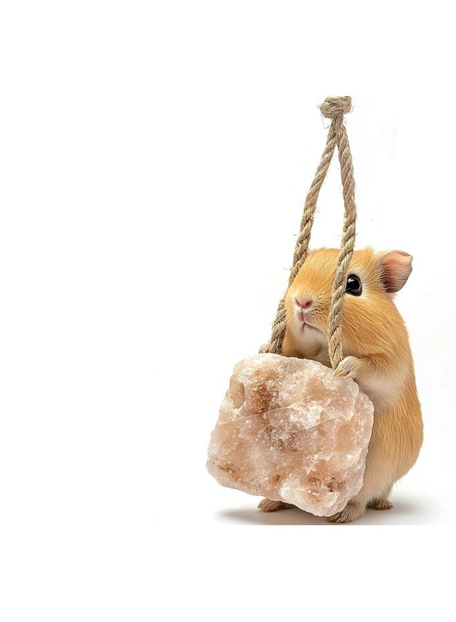 KR. LIF 6 Count Rabbit Treats Salt Lick for Small Pets Rabbit cage Accessories | Bunny Treats for Rabbit chew Toys pet Rock Guinea Pig Accessories - Image 3